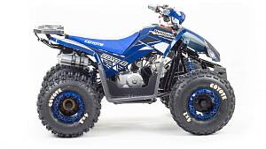 Квадроцикл Motoland Coyote VOX125